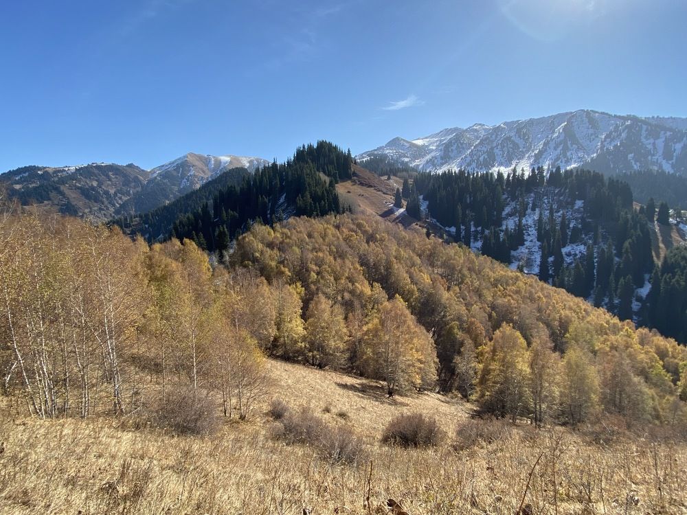 Photograph by Екатерина Вишнякова