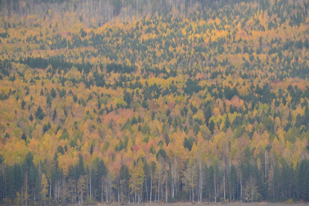 Photograph by Владислав Завальнюк