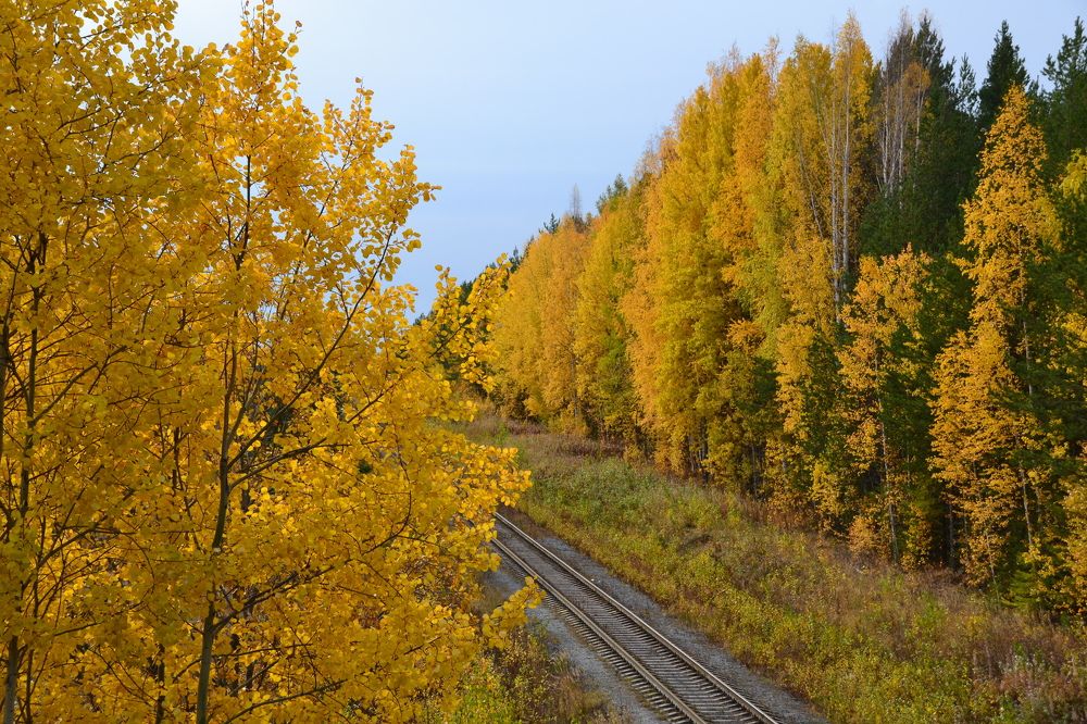 Photograph by Владислав Завальнюк