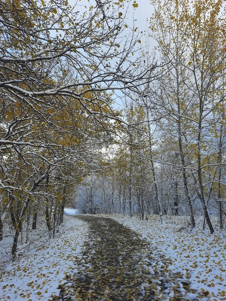 Photograph by  Людмила