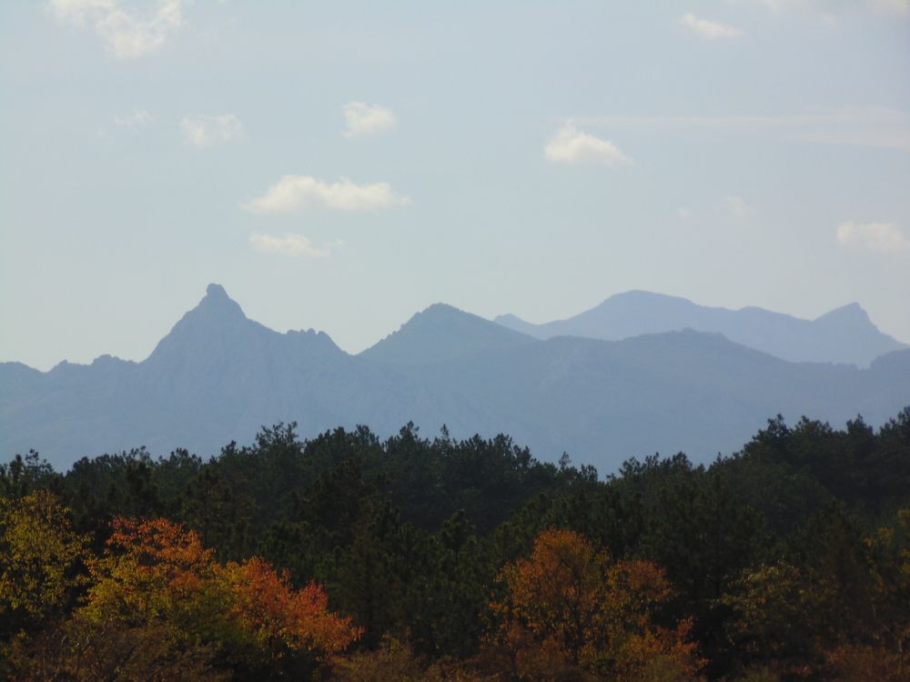 Photograph by Татьяна Стаскевич