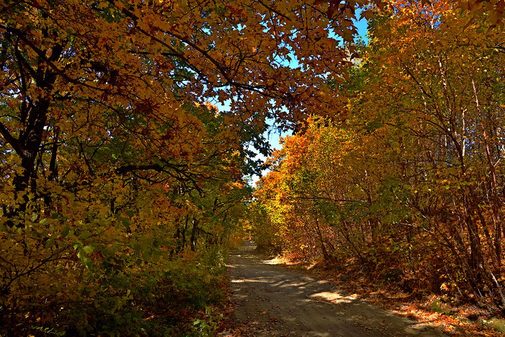 Photograph by Владимир
