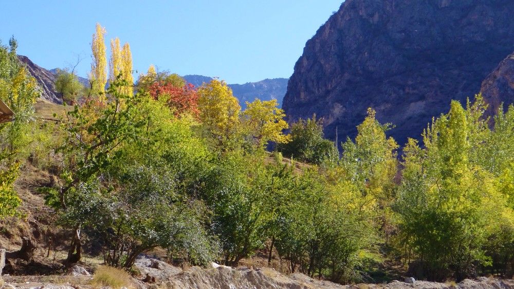 Photograph by Alijon Akbarov