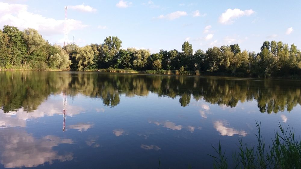 Photo #6604794