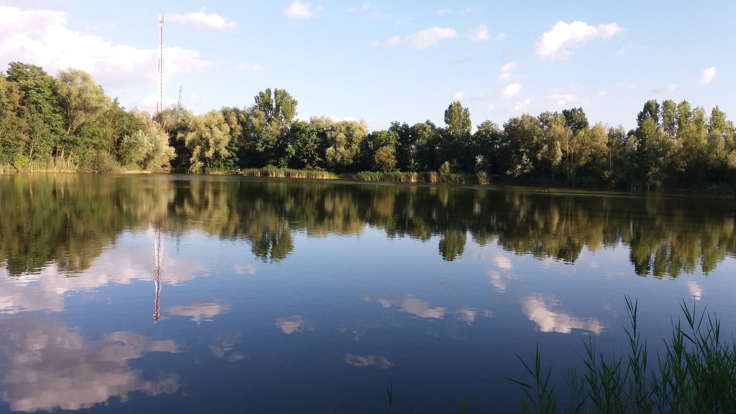 Photo #6604794