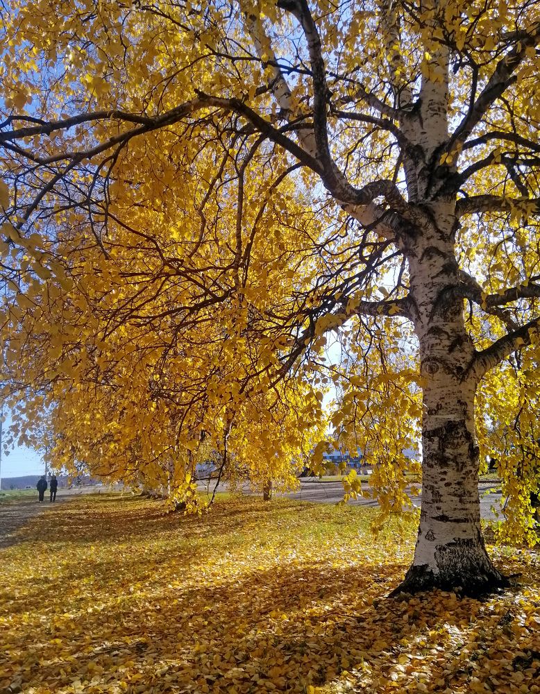 Photograph by Владимир