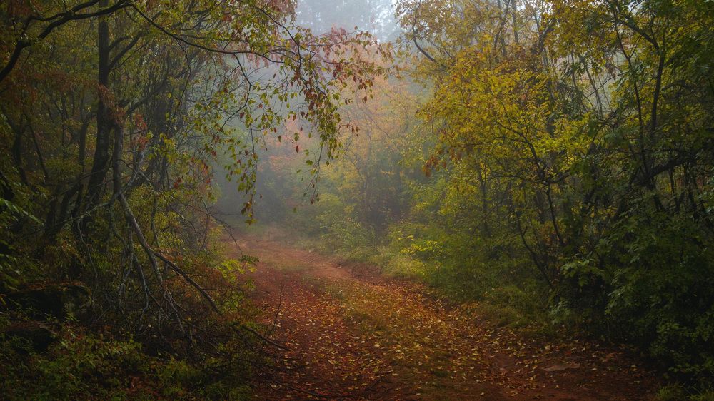 Photograph by YanaGG