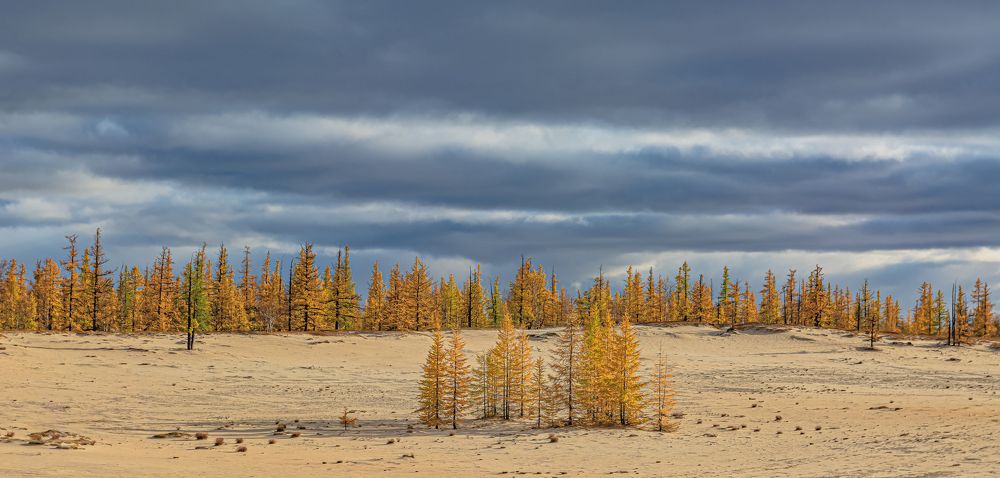 Фотография автора Ендовицкий Владимир