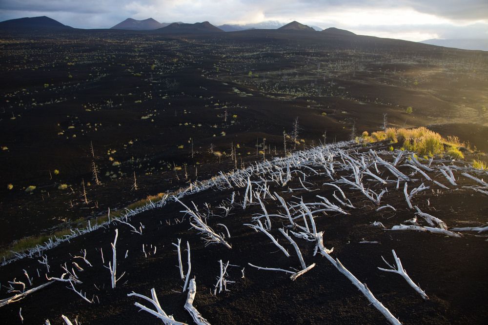 Photograph by KateAkh