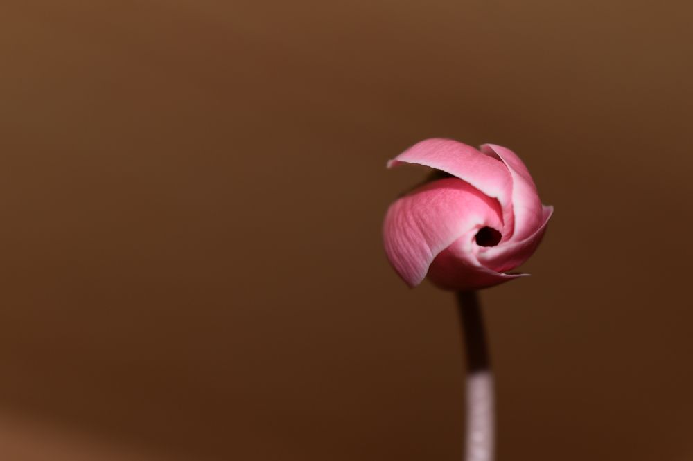 Photograph by Сергей Головин