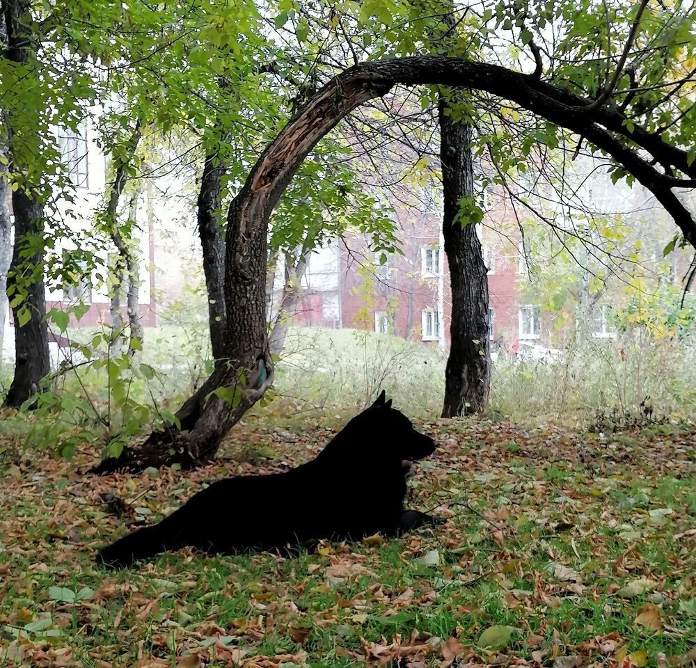 Photograph by Елена Воробьева