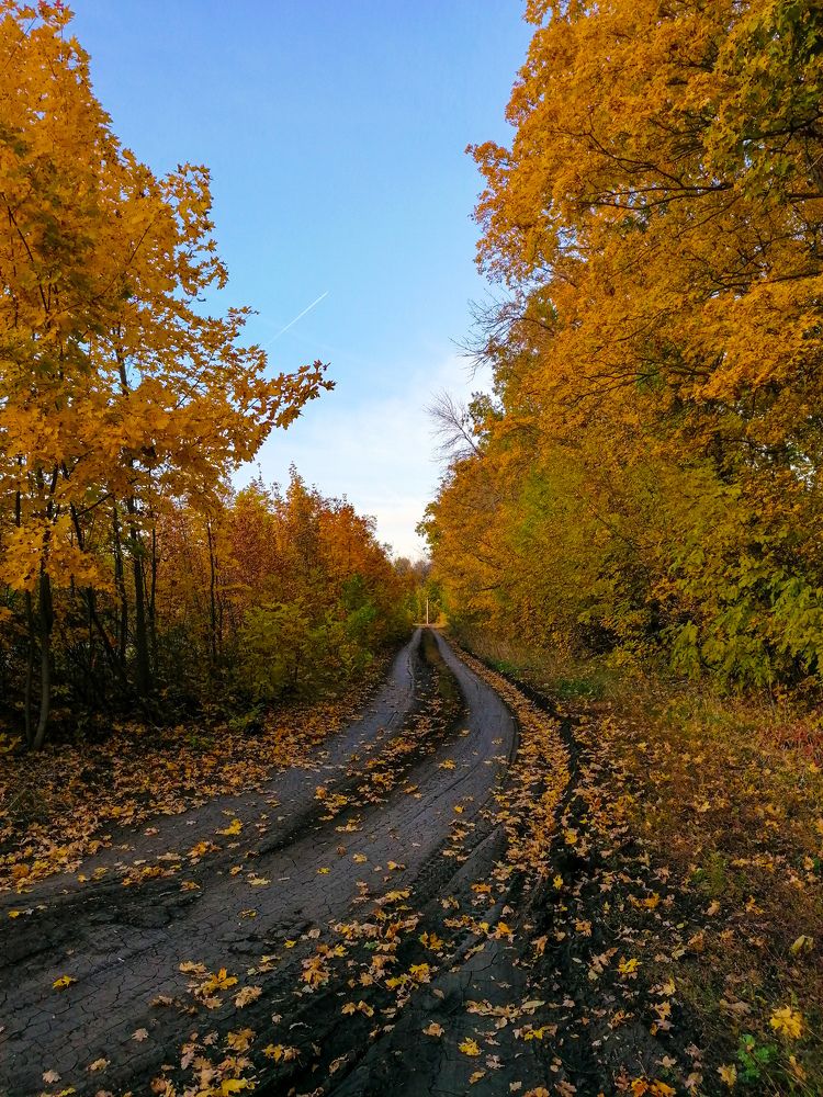 Photograph by Яна Шурупова