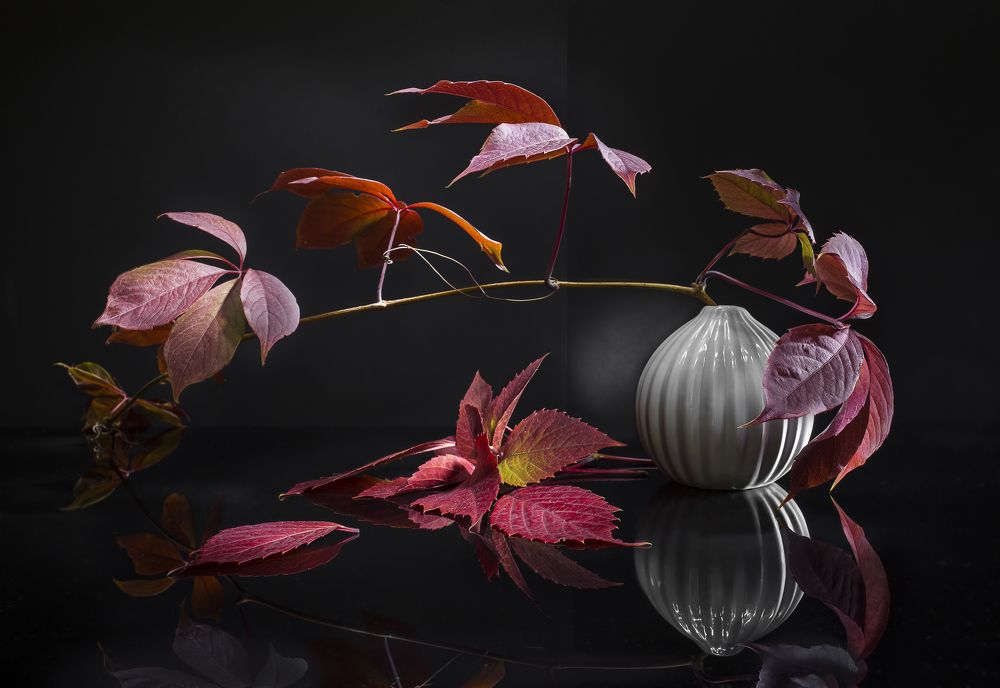 Photograph by Евгений Попов