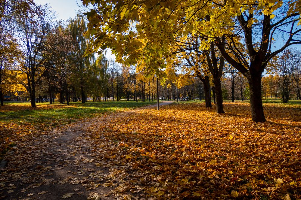 Photograph by Анастасия Бравичева