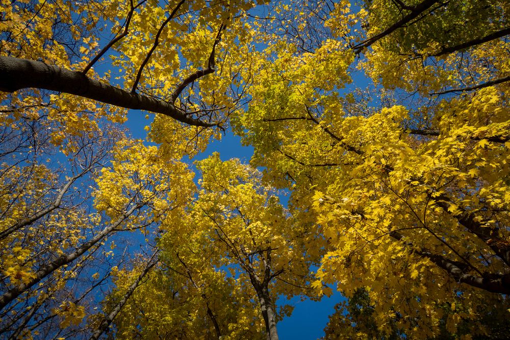 Photograph by Анастасия Бравичева