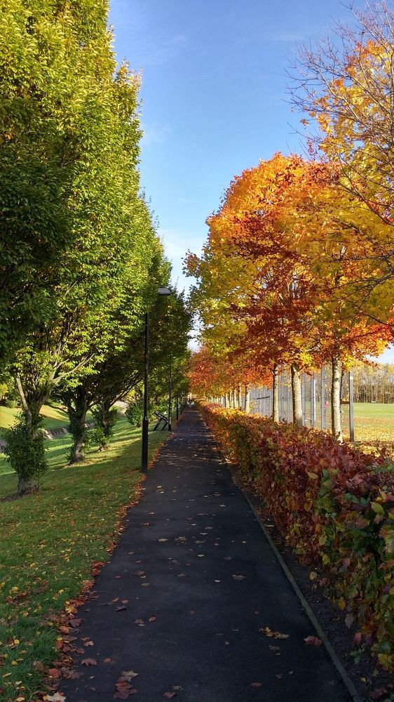 Photograph by Раиса Ламли