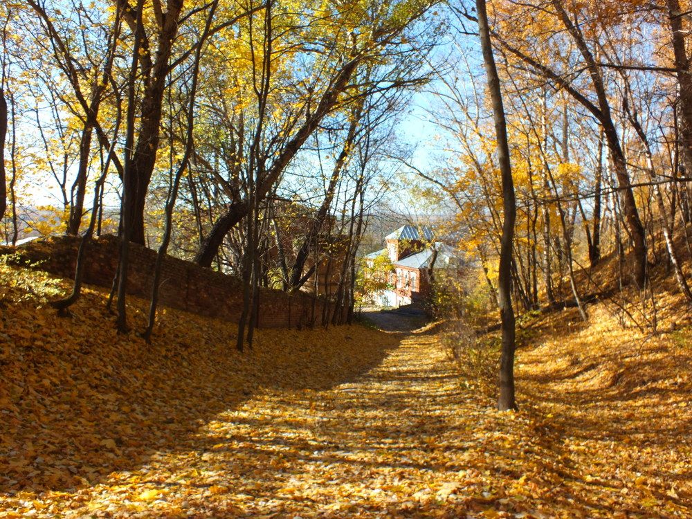 Photograph by Юлия Аушева