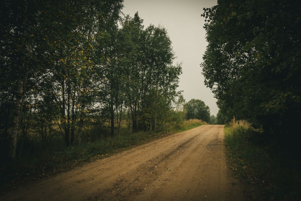 Photograph by Анастасия Бравичева