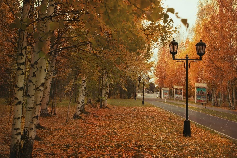 Photograph by Ксения Казырицкая