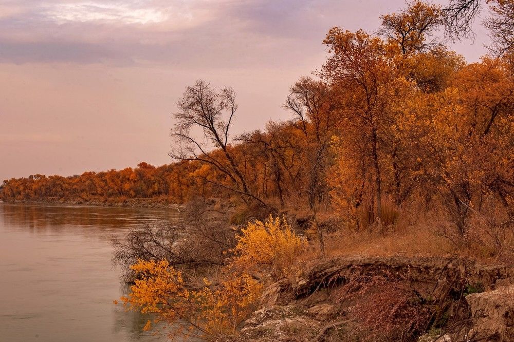 Photograph by Александр Грищенко