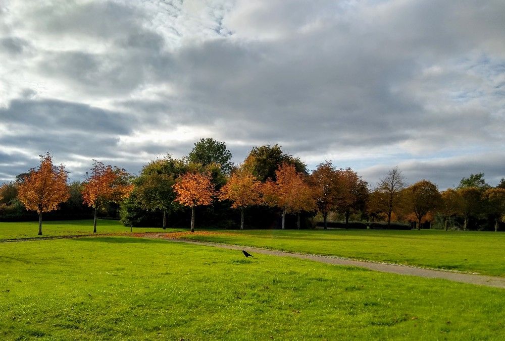 Photograph by Раиса Ламли