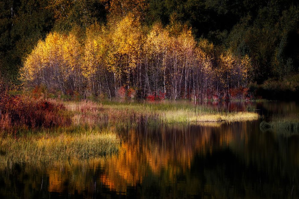 Photograph by Алексей Закиров