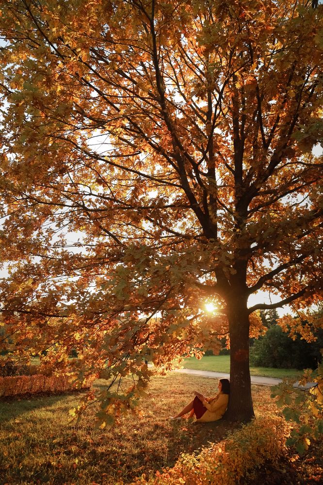 Photograph by Анастасия Павлова