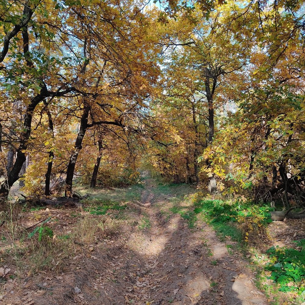 Photograph by Фаина Мирошниченко