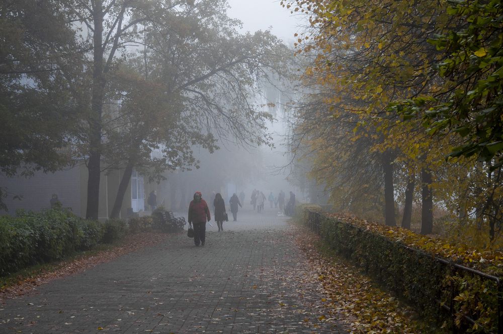 Туманы октября - 2