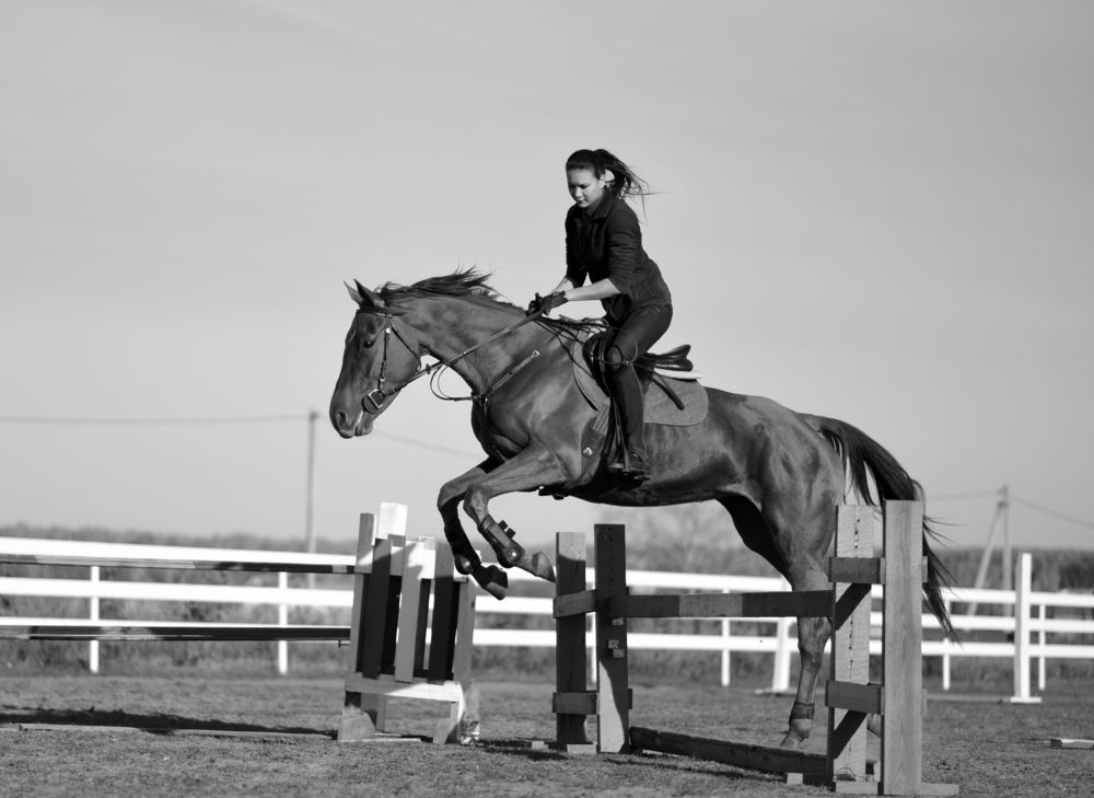 Photograph by Татьяна Шалкова