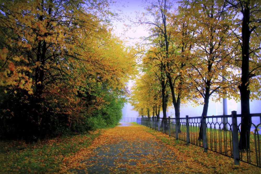 Photograph by Эдуард Петруша