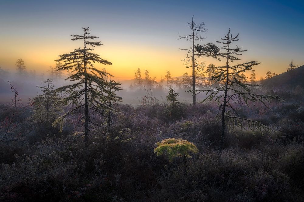 Photograph by Сергей Межин