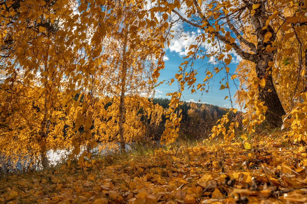 Photograph by Александр Устьянцев