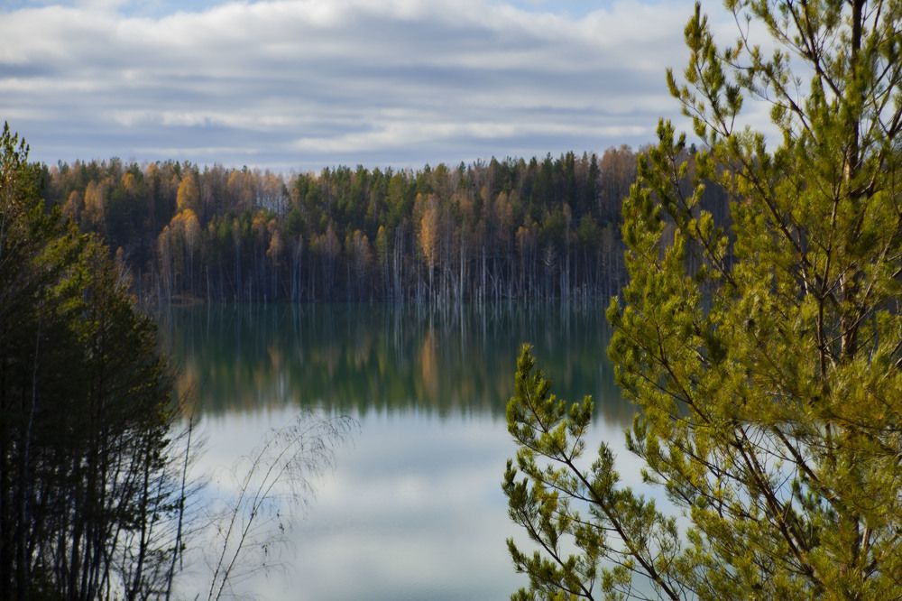 Photograph by Ксения Никифорова