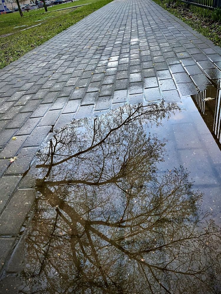 Photograph by Елена Сушкова
