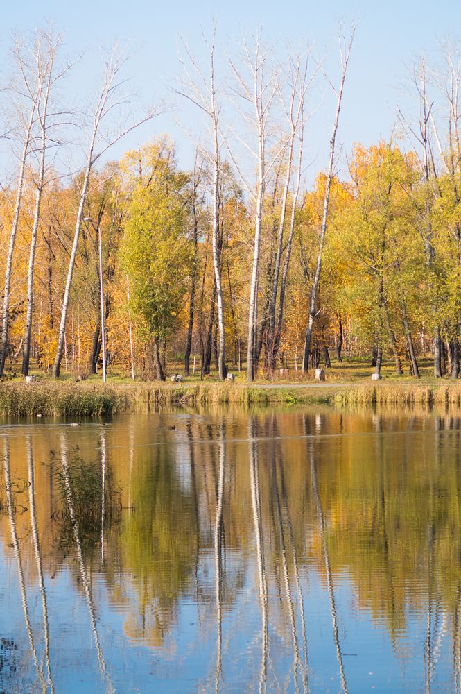Пейзаж в осеннем парке