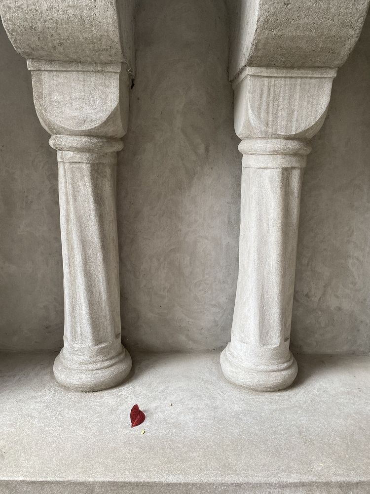 Фотография автора Maria Alekseeva