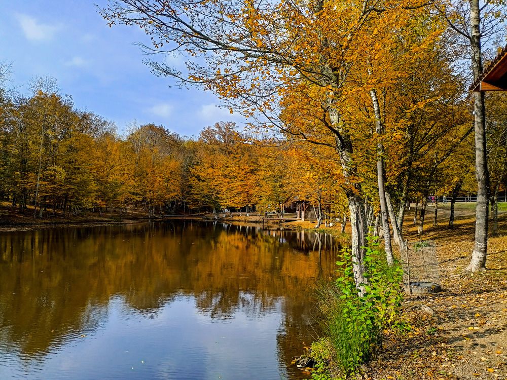 Photograph by Олег Башкуров