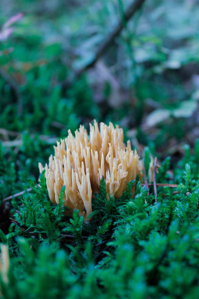 Photograph by Наталья Войтеховская