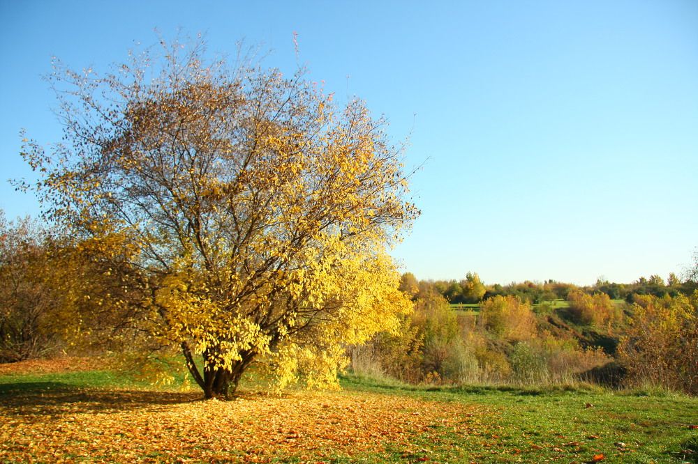 Photograph by Антон Корольков