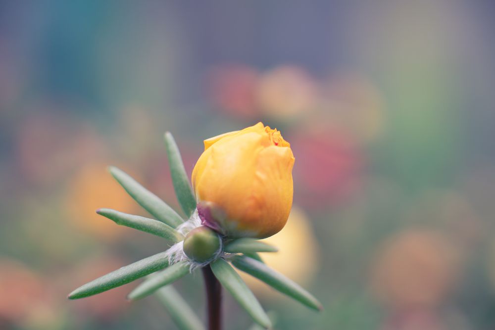 Photograph by Олег Зальвовский