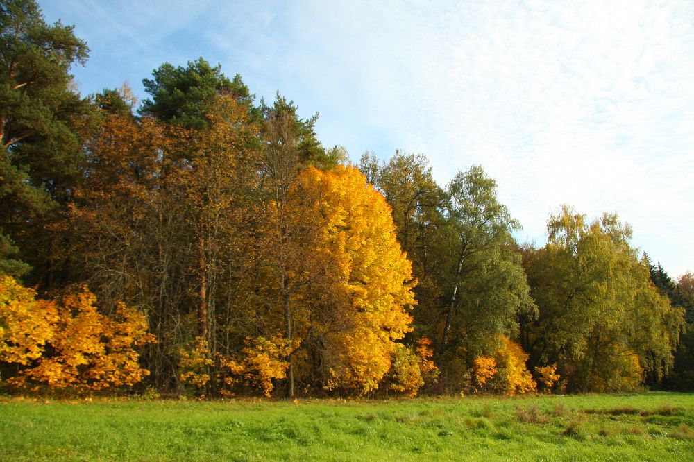 Photograph by Антон Корольков