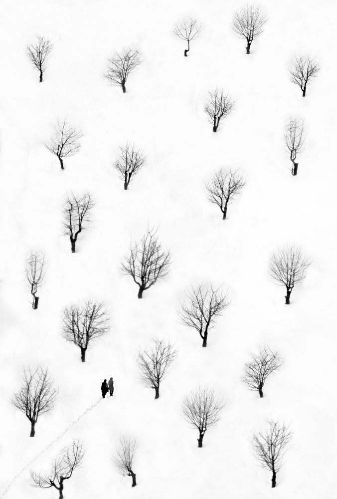 Photograph by Mahmoodreza Noraei