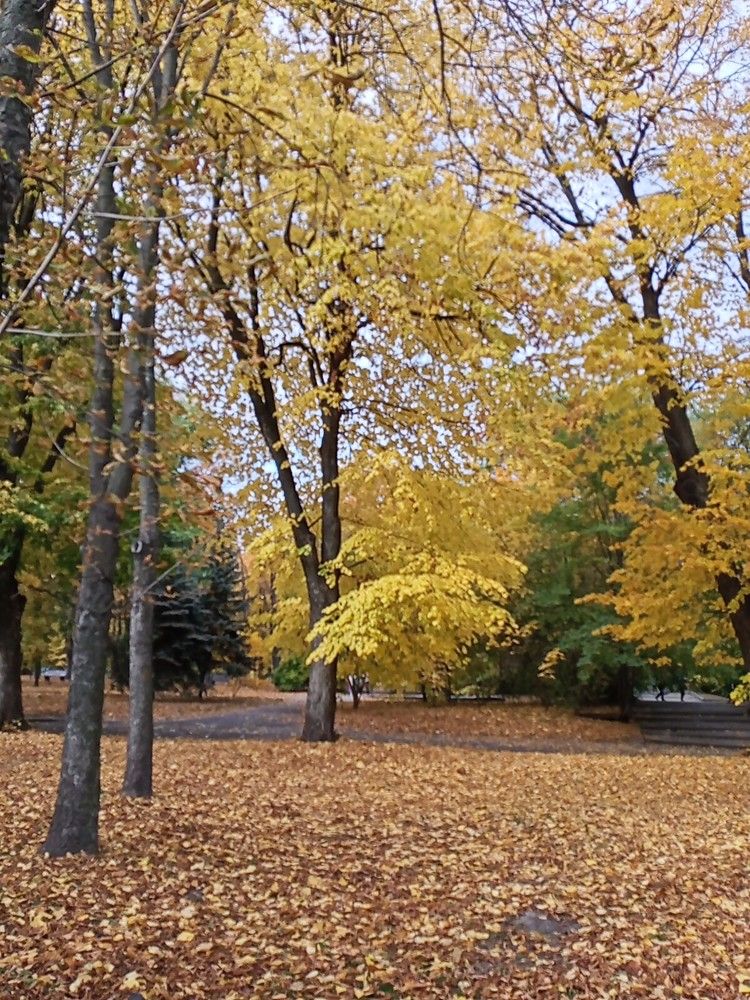 Photograph by Адамян Анна