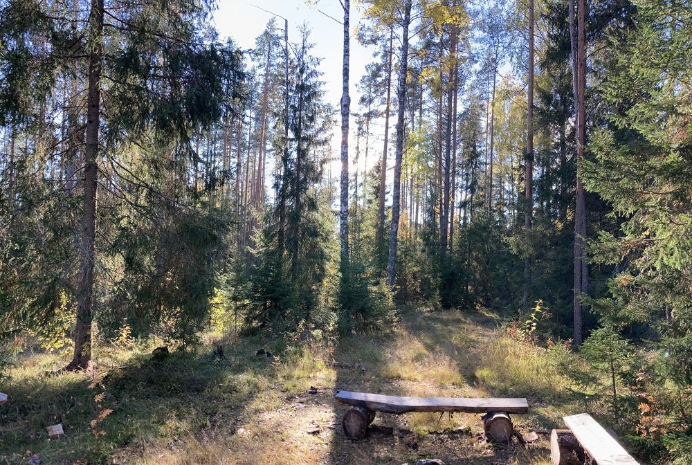 Photograph by Аркадий Каллистов