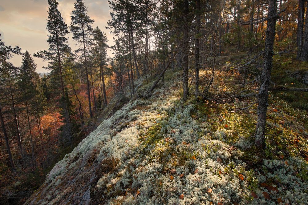 Photograph by dmihel