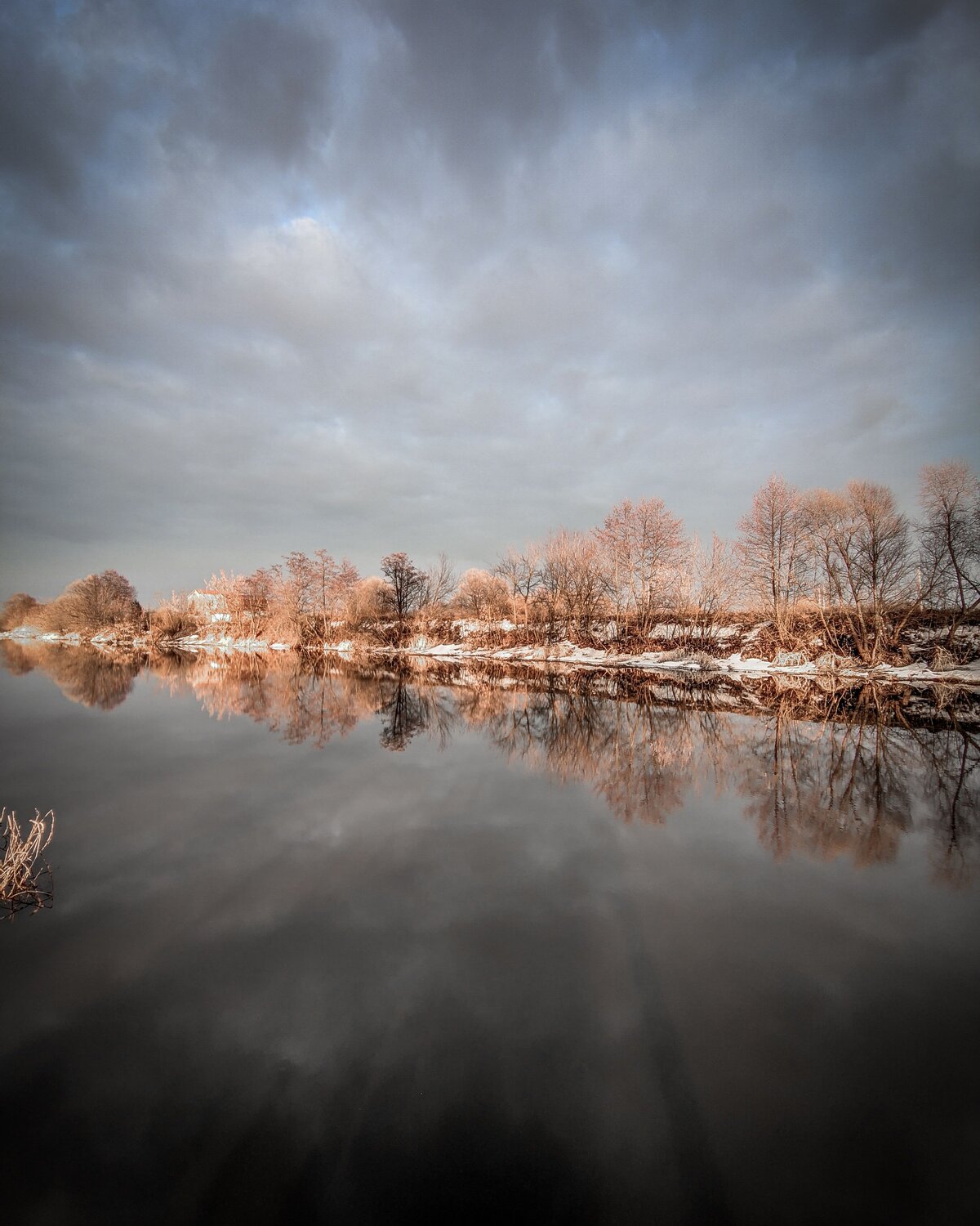 Photo #6605726