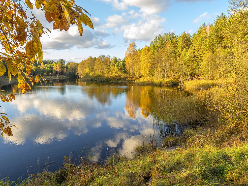 Photograph by Алла Толстая