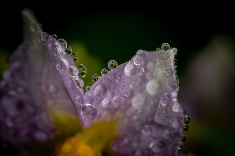 Photograph by Анастасия Бравичева