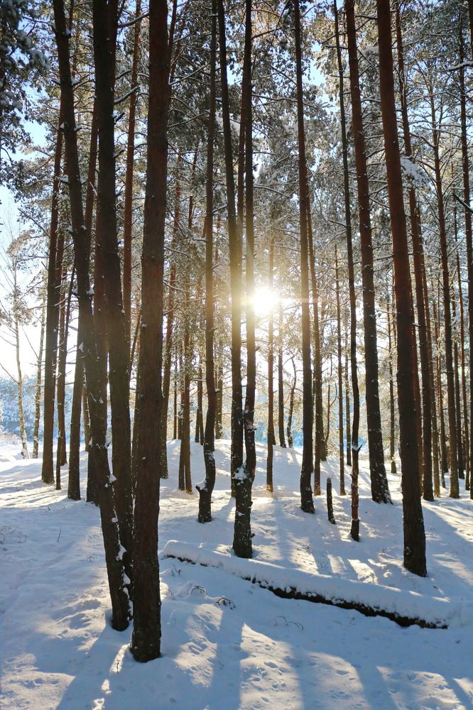 Photograph by Анастасия Гасанова